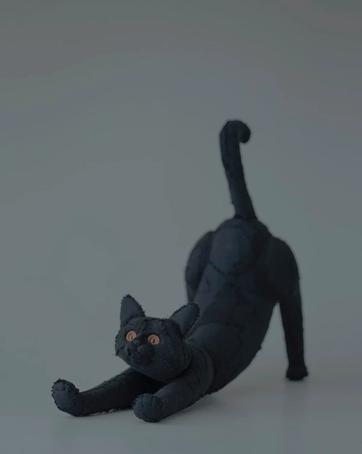 等身大の黒猫たちのリアルな表情に興奮！ の画像_3