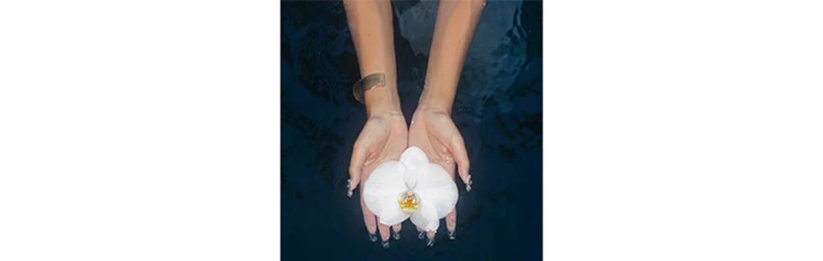 『orchids (lullabies)』 no na