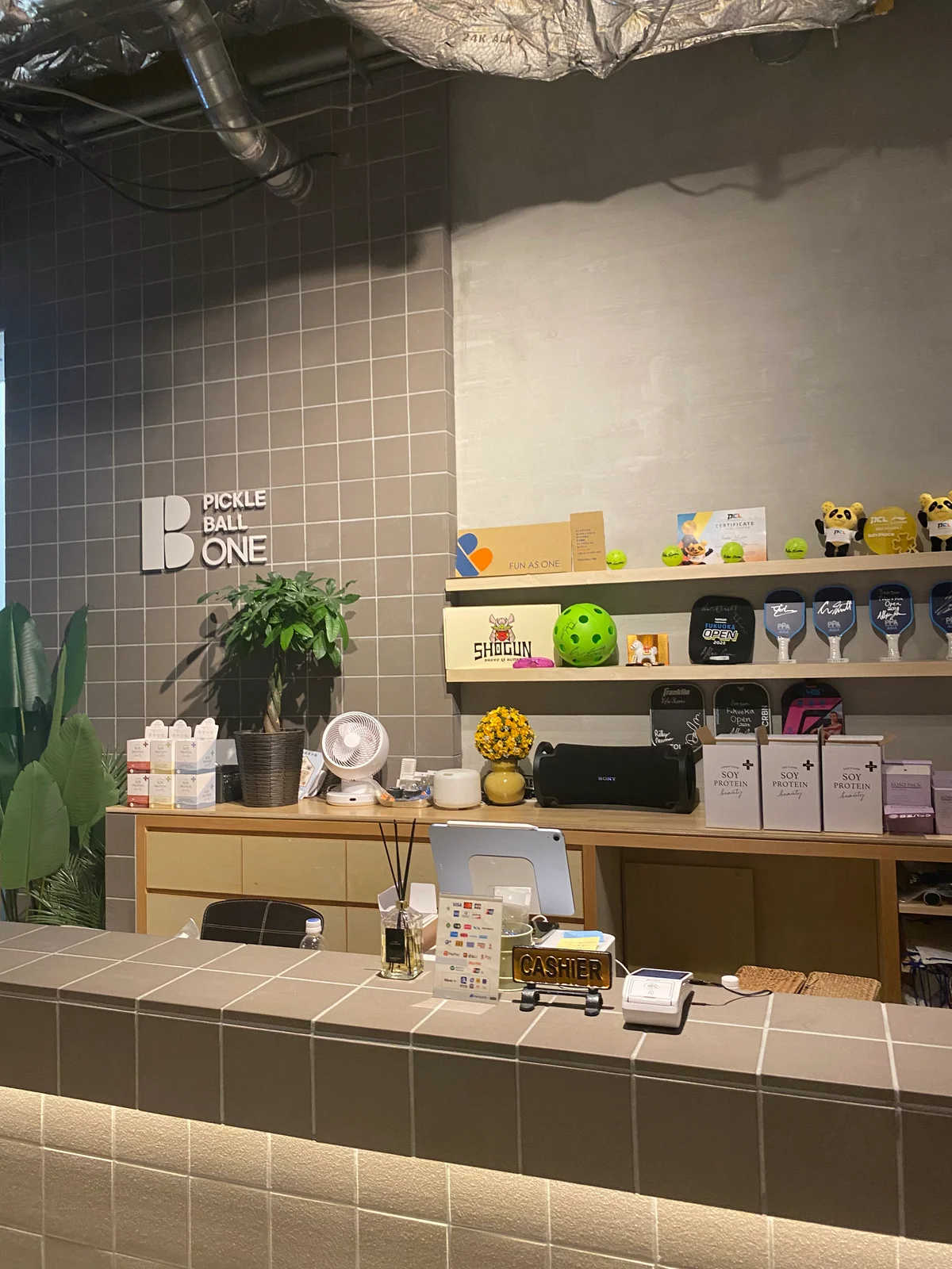 噂の“ピックルボール”を、球技音痴なエデの画像_6