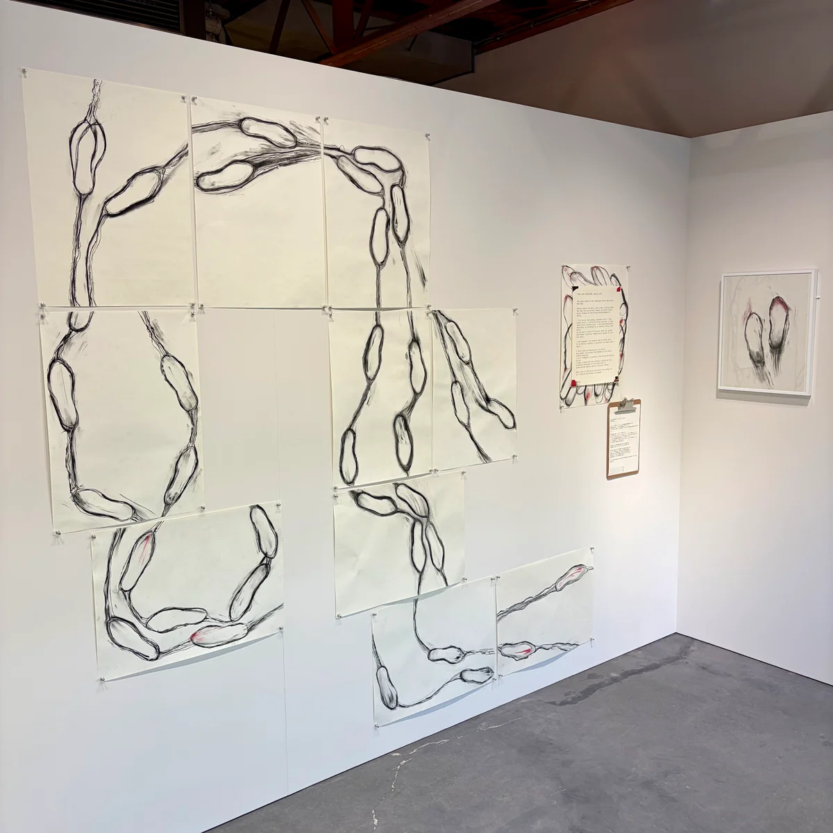 クラウディア・ウイドブロの展示の画像