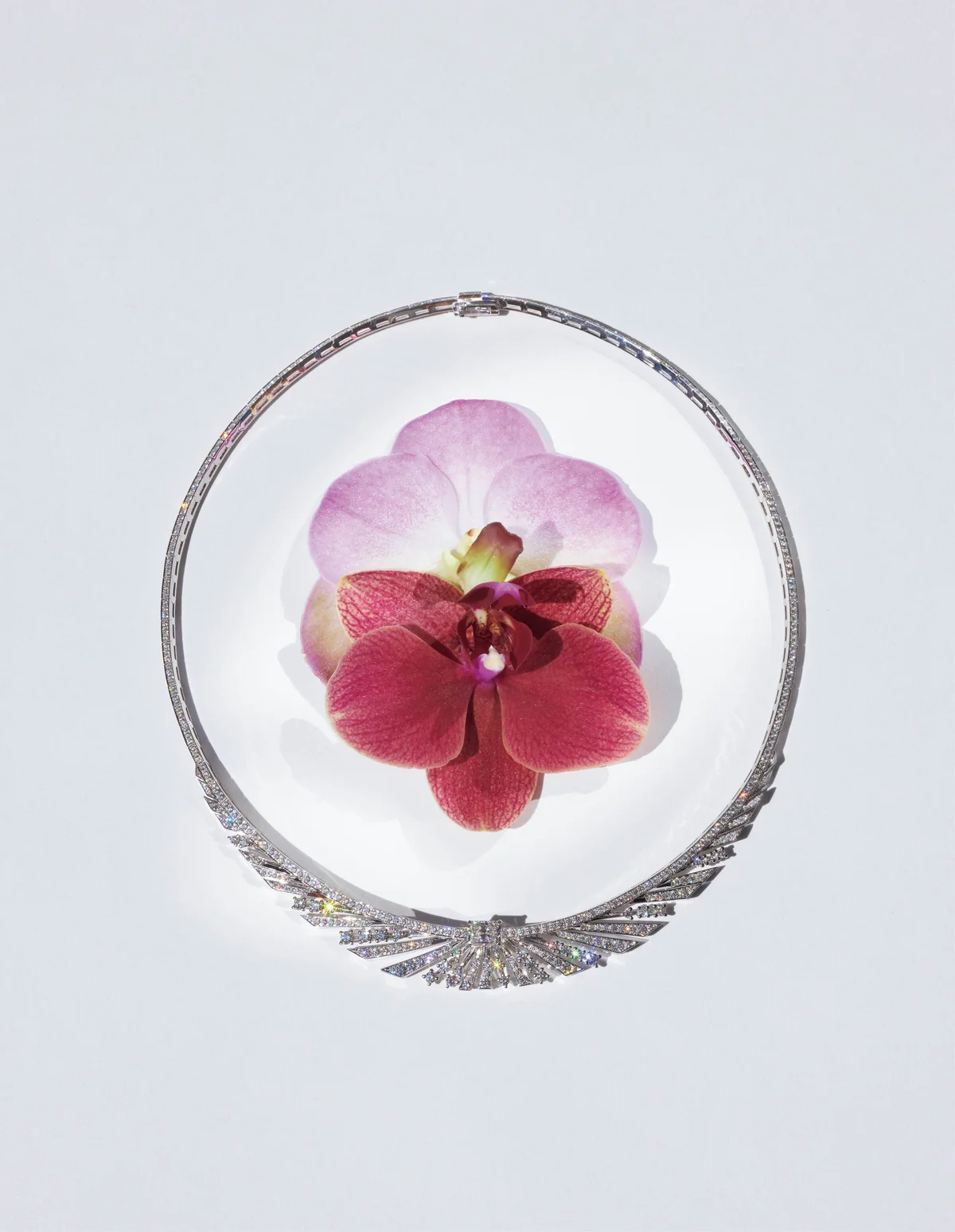 ネックレス「ソレイユドール サンライズ」　フレッド