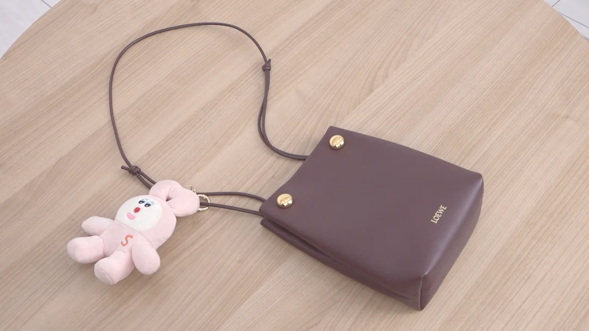 ロエベの「ペブル ポーチ」の写真