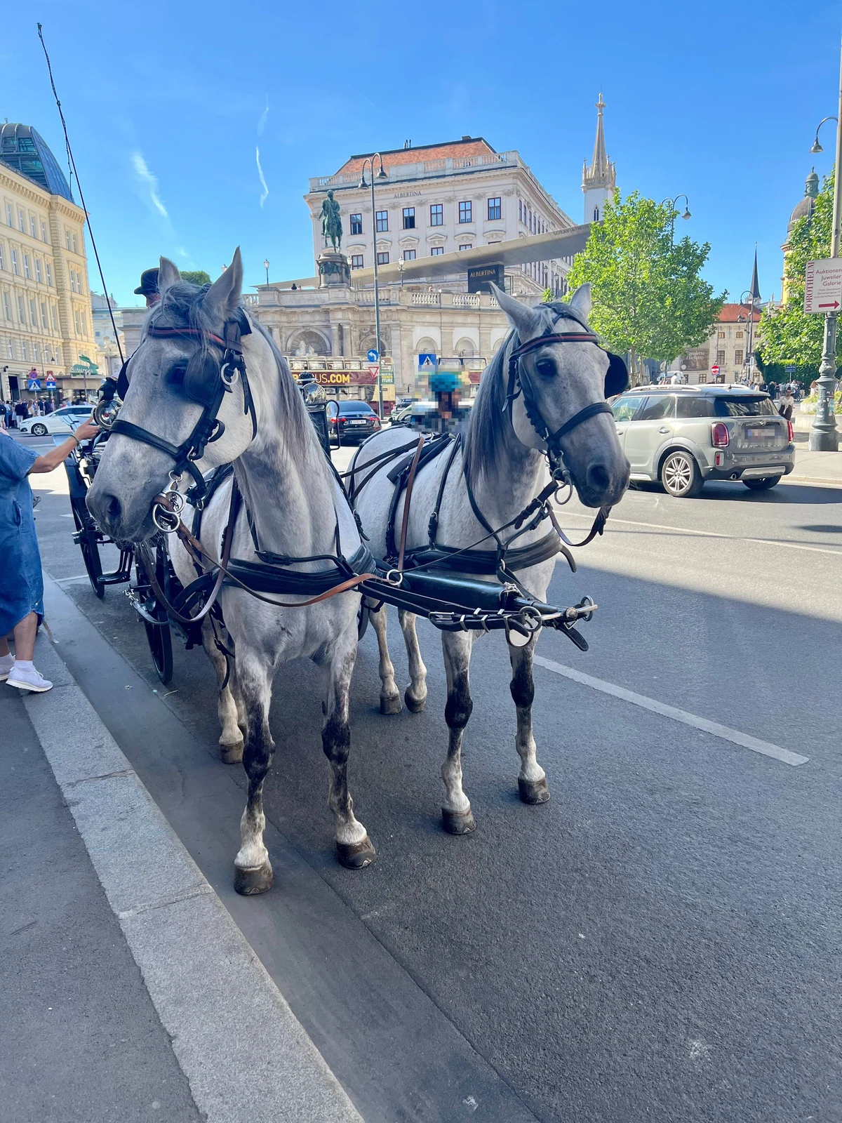 ウィーン市街を走る二頭立て馬車