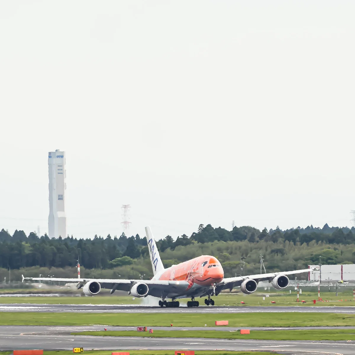 成田空港第１ターミナル５階の展望デッキから見た着陸の瞬間のフライングホヌ