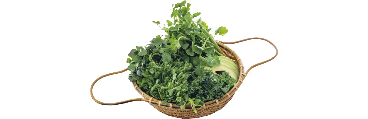 デトックスグリーン鍋／心身がすがすがしくのレシピ画像_3