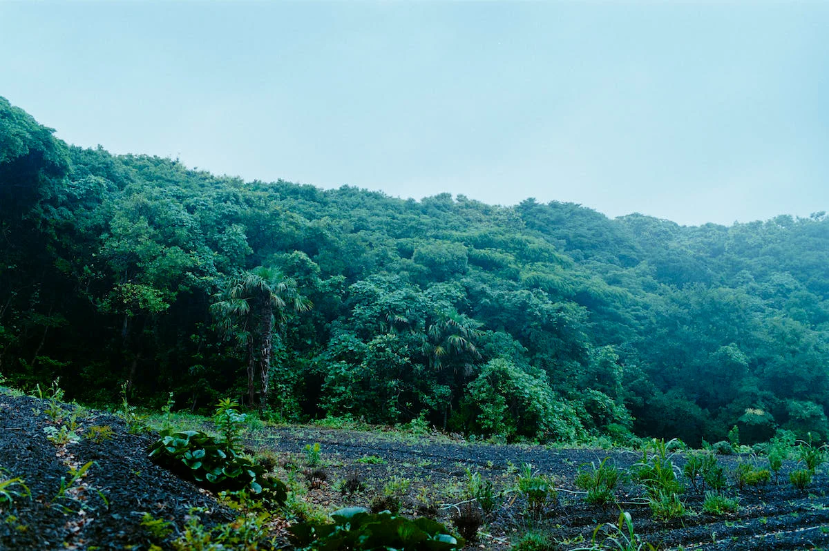 「NEMOHAMO」里山イメージ