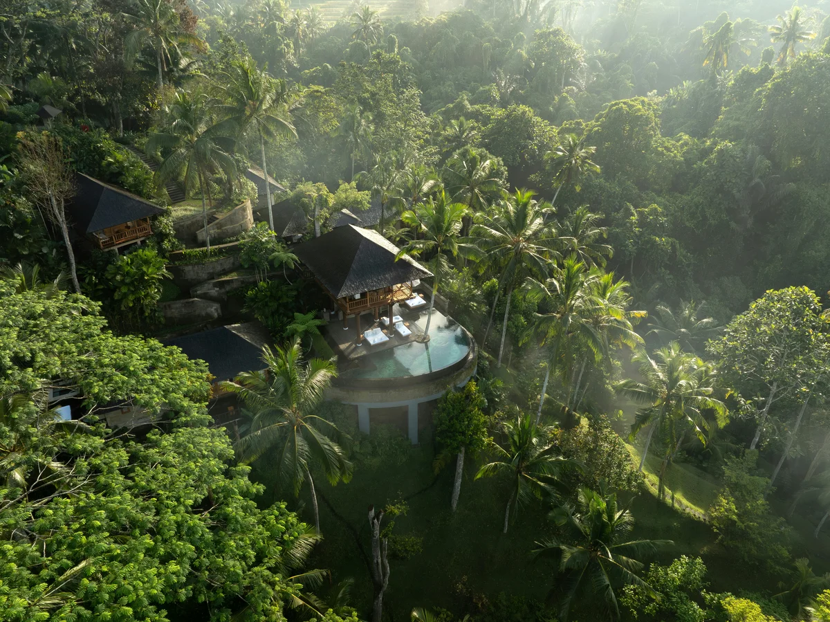 圧倒的な自然や文化に没入する【新ウェルネの画像_9