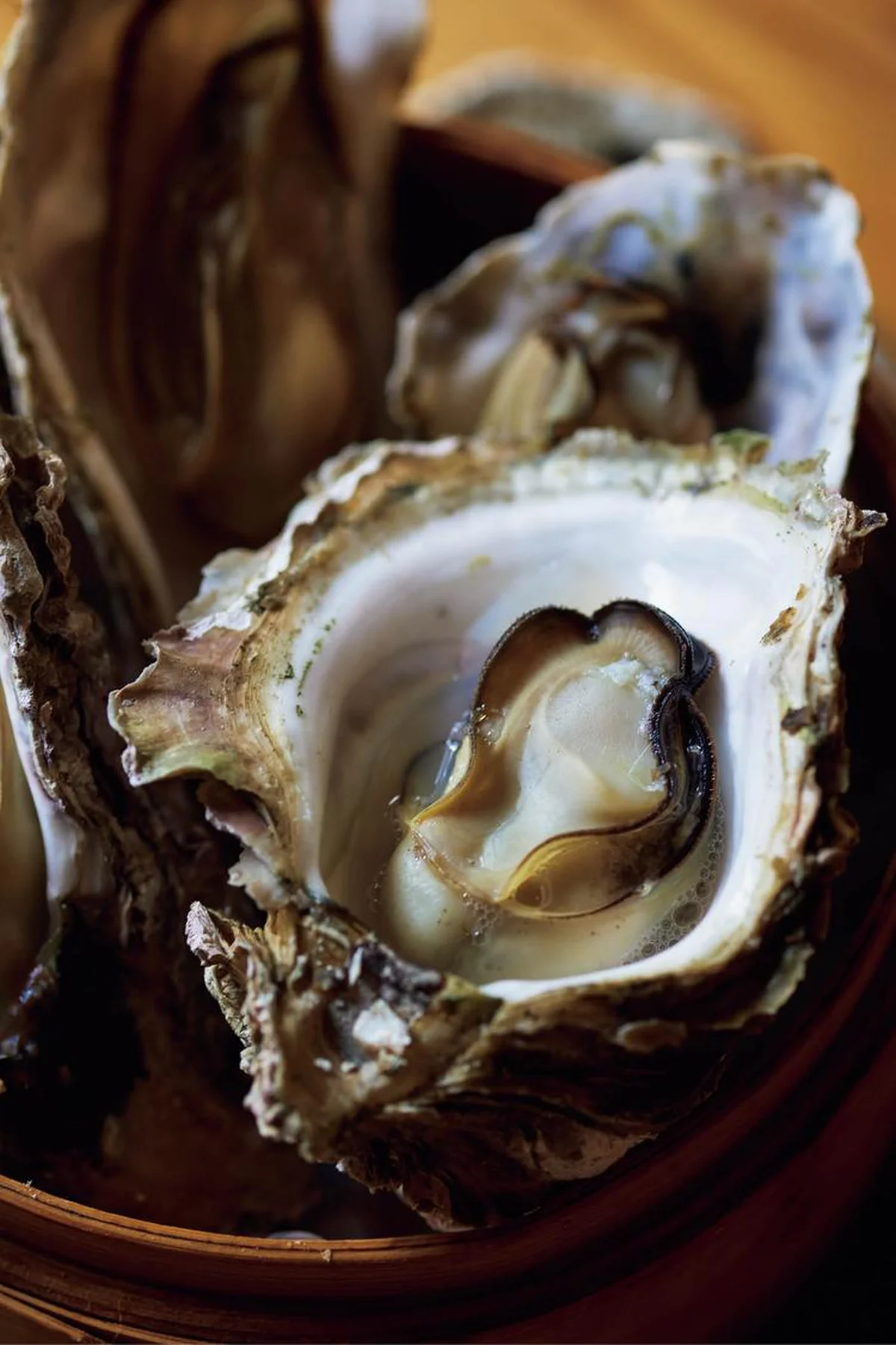 恵比寿駅/渋谷区 【BISTRO NOCHE】