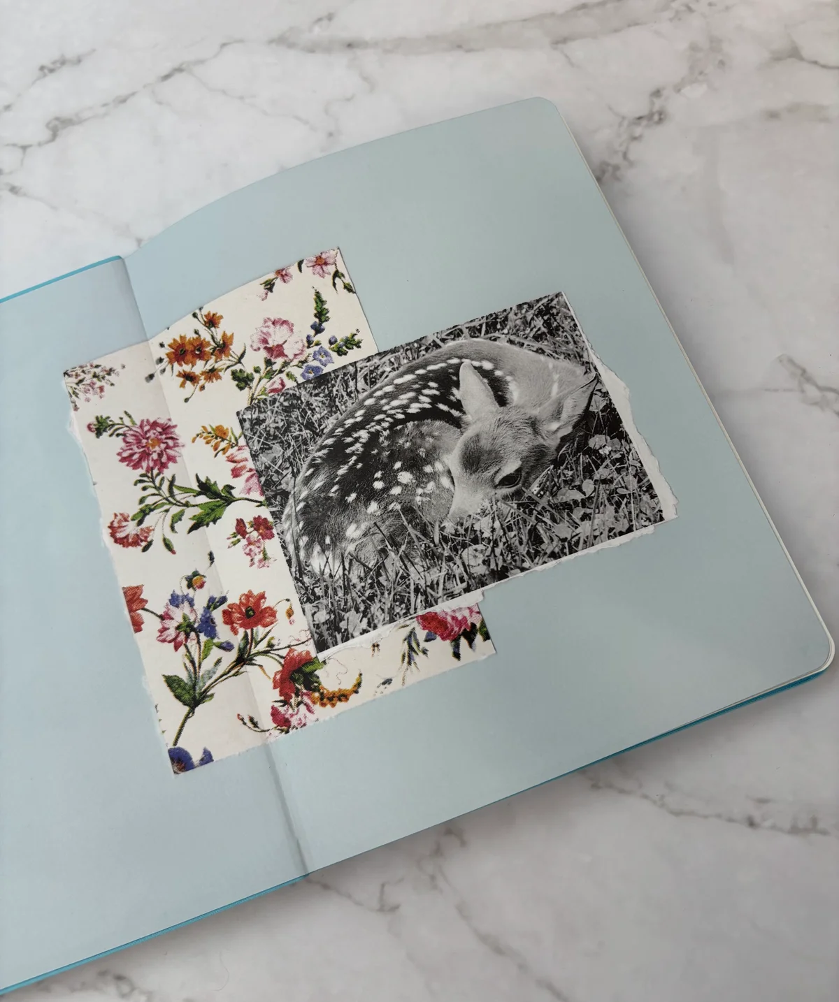 手帳　ダイアリー　2026年　ソフィア・コッポラ　アートワーク