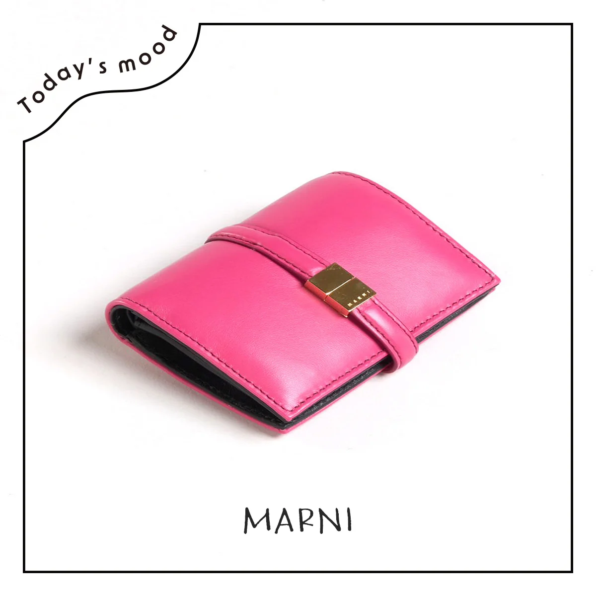 マルニの財布【昼下がりのごきげんワードローブ】
