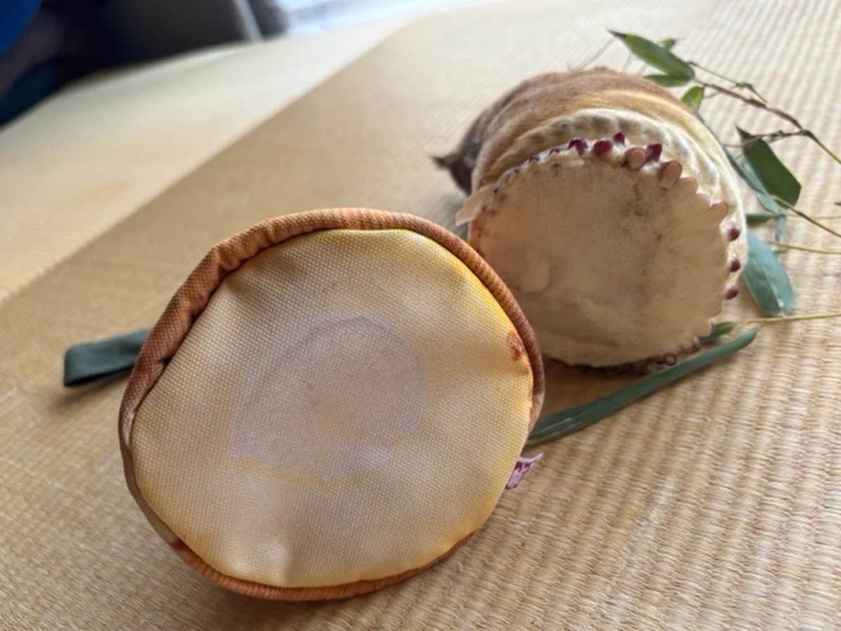 台湾「喜樹」のリアルなタケノコ型布製ポーチの底面部