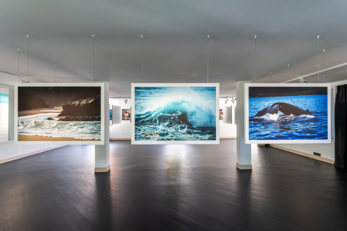 さかなクンも参加！ 子どもたちの海洋リテの画像_3