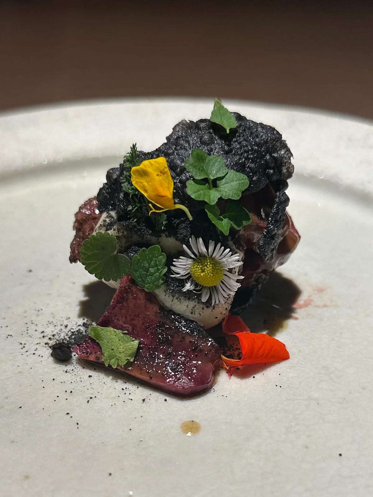 生き方や創作のヒントを再発見する【新ウェの画像_3