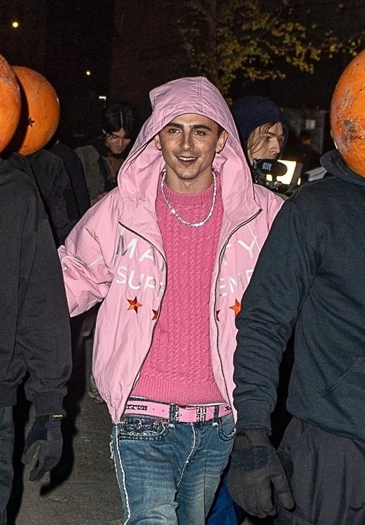 ティモシー・シャラメ、グラミー賞初ノミネの画像_13