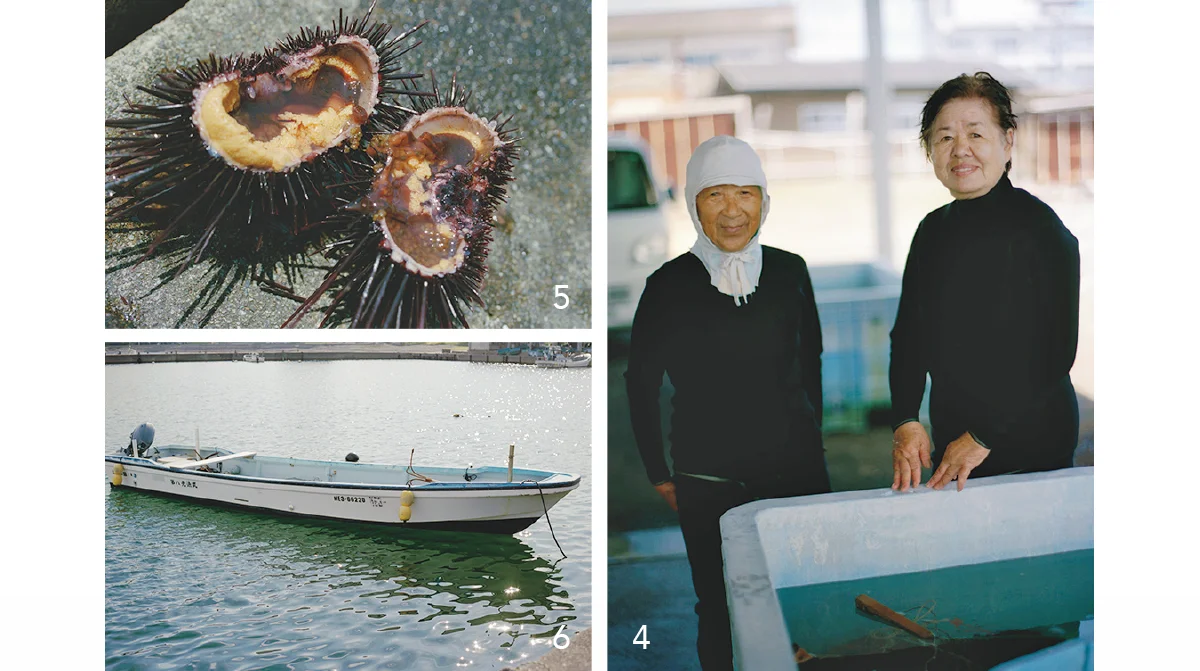 三重県鳥羽市相差町 海女漁