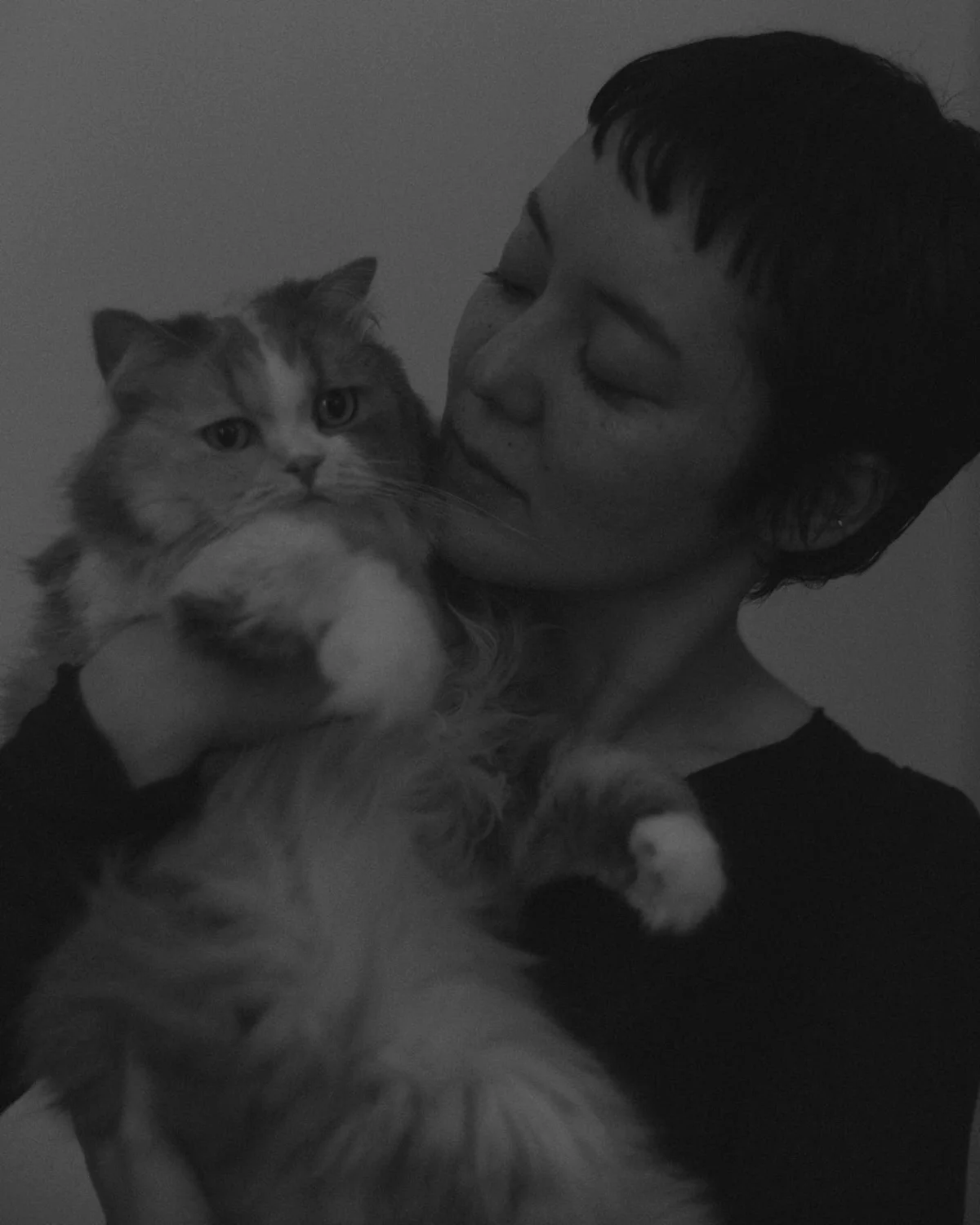 Tomoko Kojimaプロフィール画像