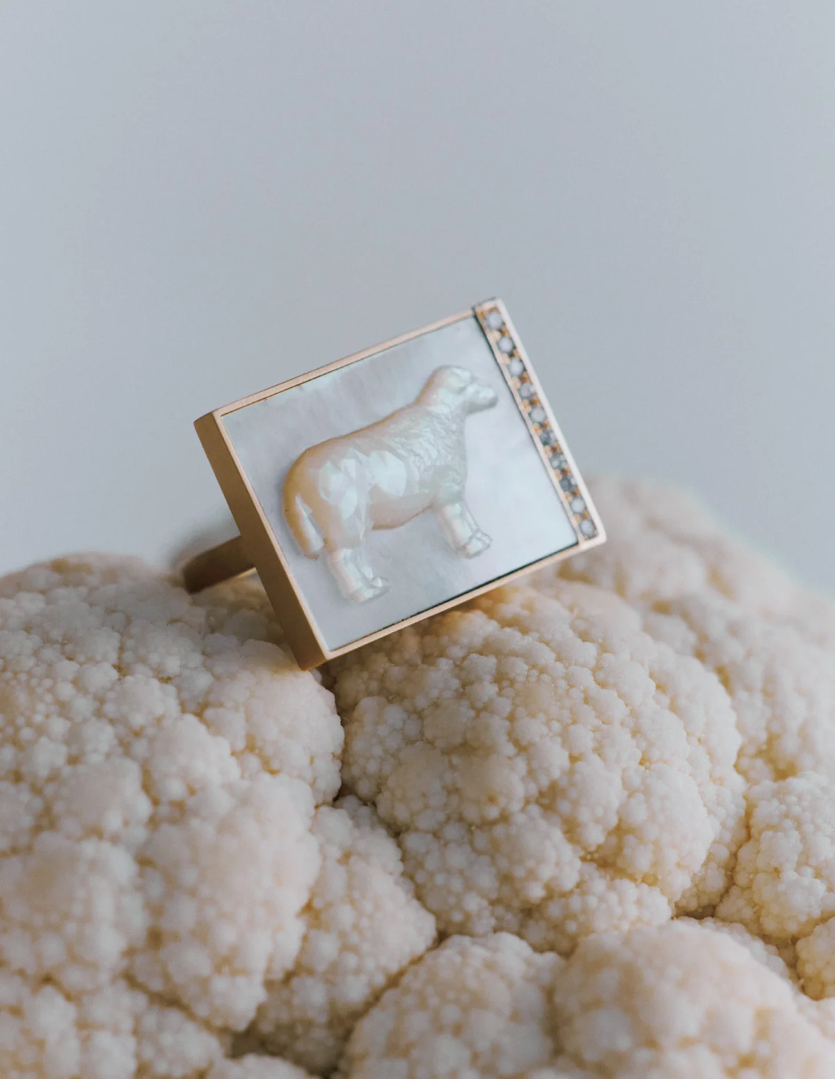 コウコウのカメオリング