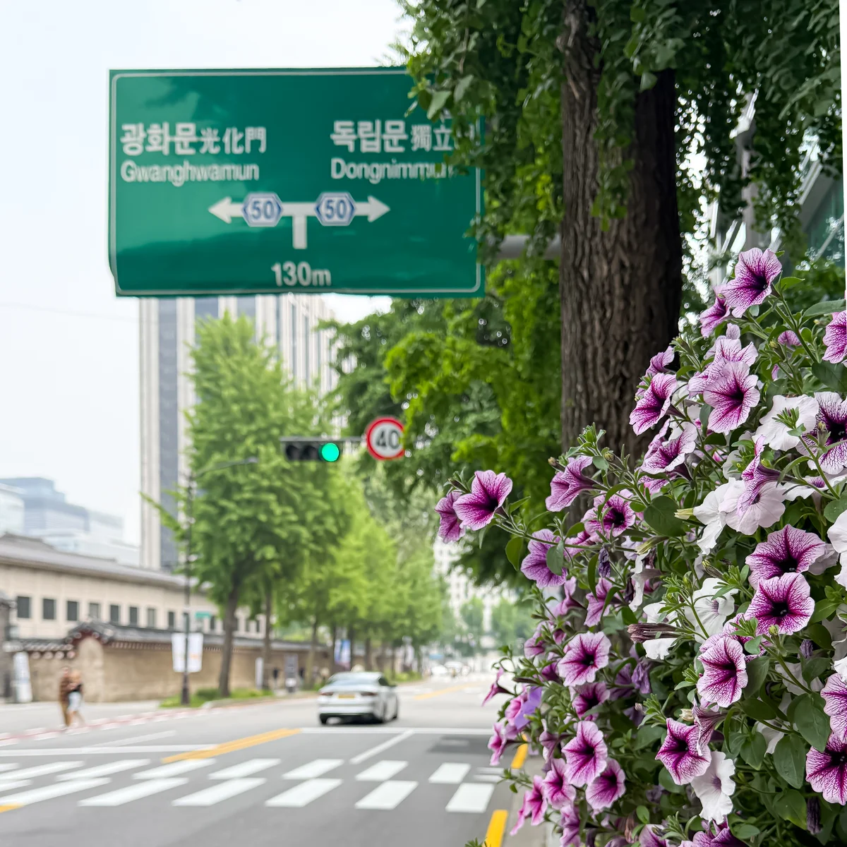 ソウル