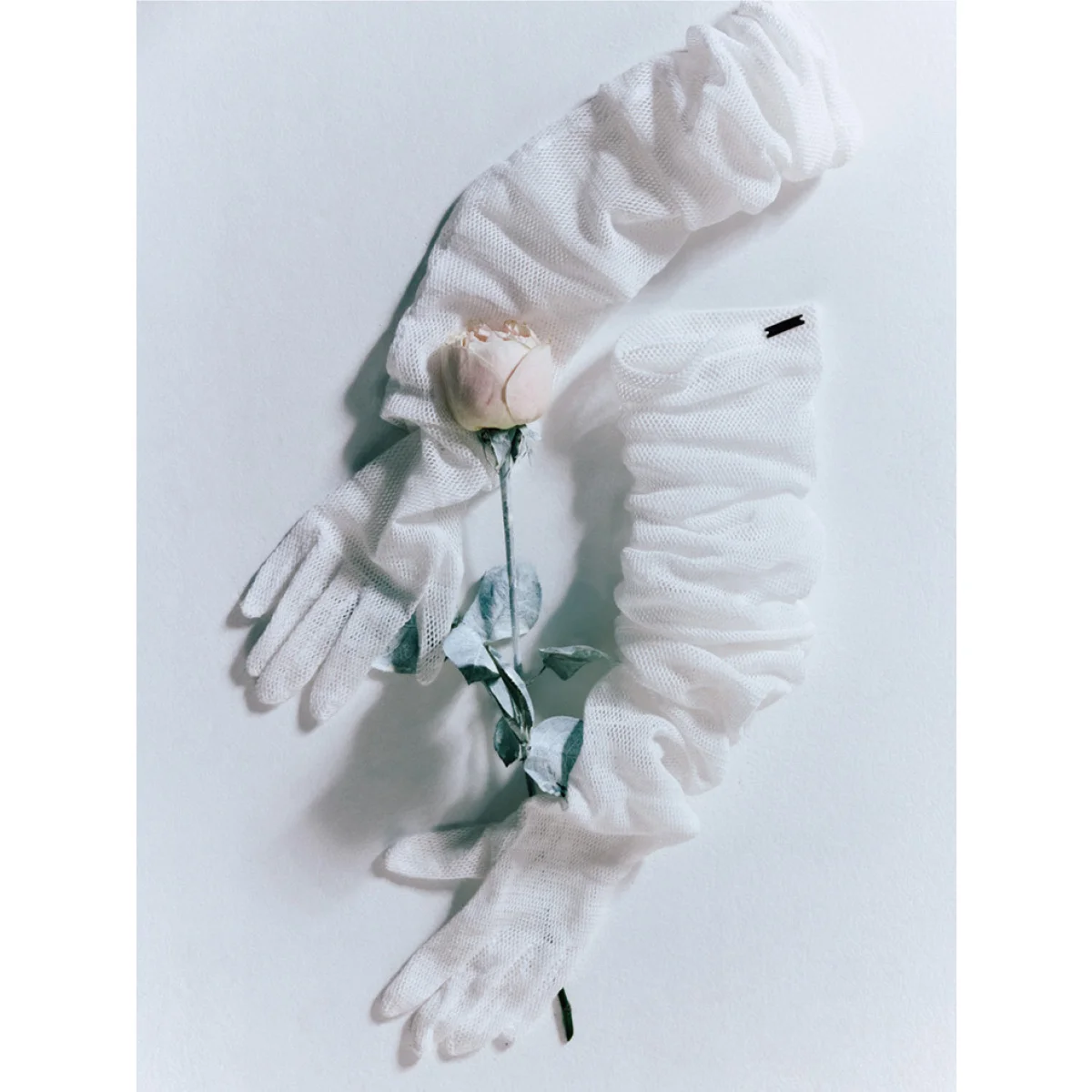 フェティコのグローブ