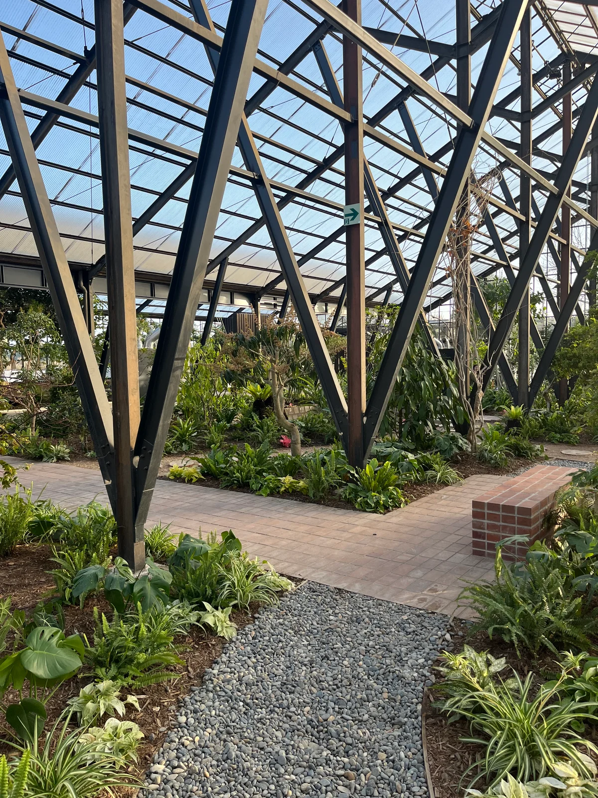 千葉県大多喜町 大多喜有用植物苑 プレオープン 内庭