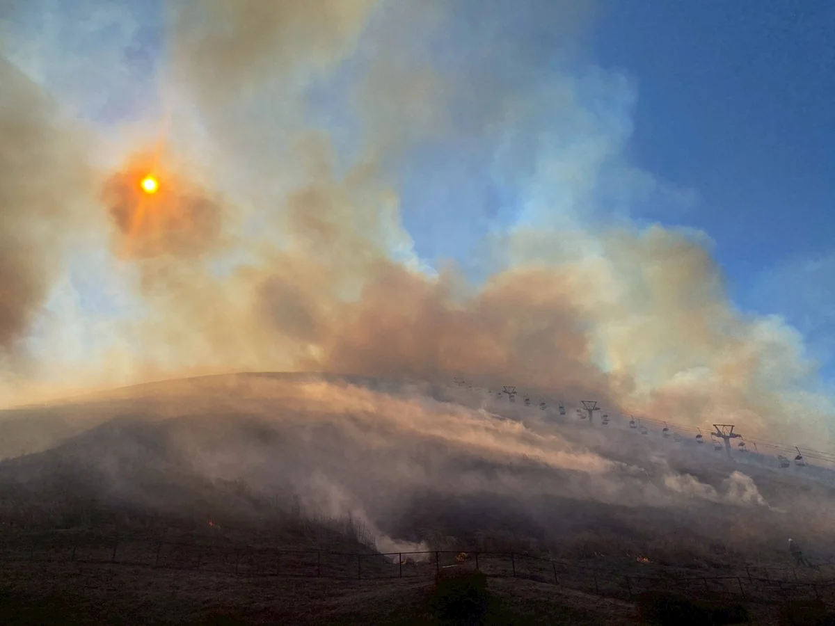 大室山の山焼き 年に1度の春の風物詩