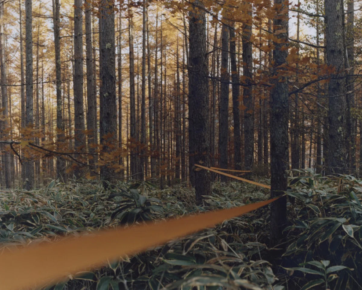 多様な文化が交差する渋谷に、新たな拠点がの画像_4