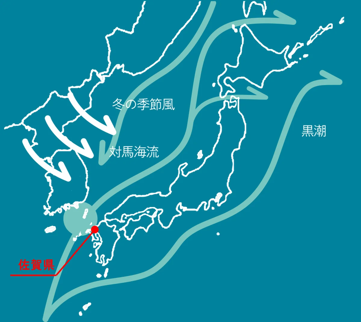 日本近海の海流の図