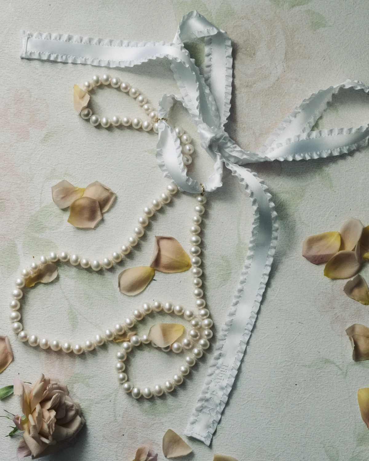 【ビジュードエム】と【ビビィ】がコラボレの画像_2