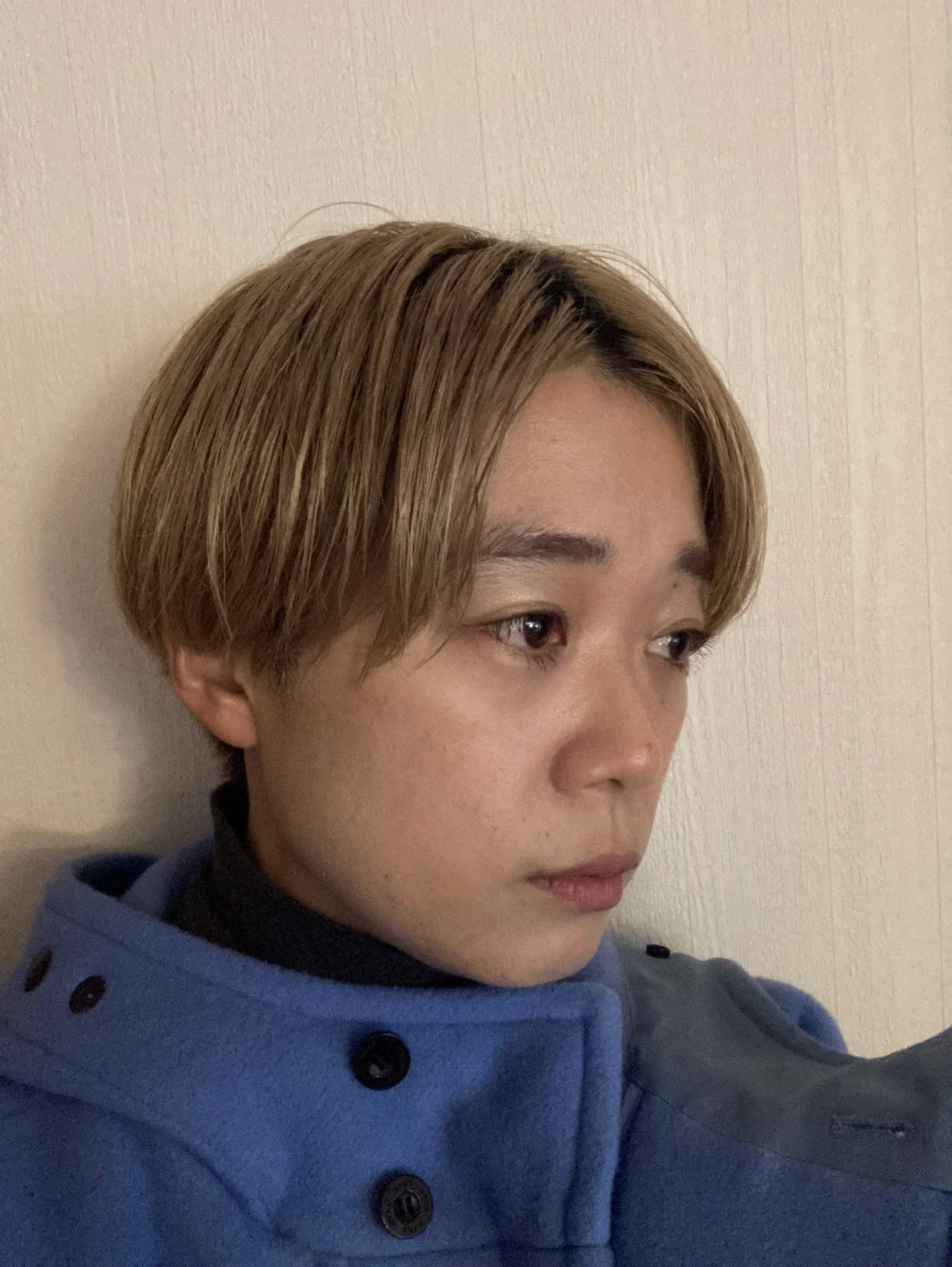 辻村真理プロフィール画像