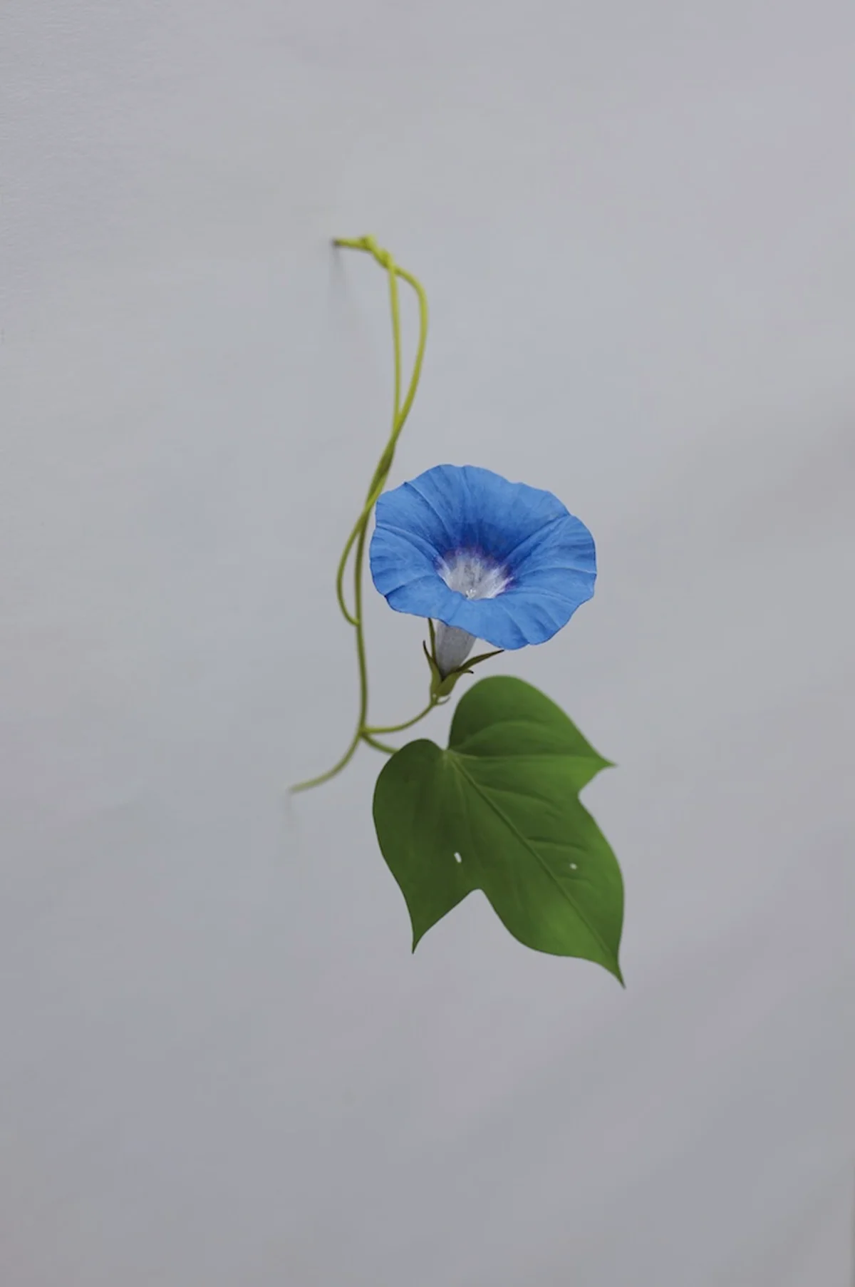 鴨長明の庵から現代の暮らしを見直す。「方の画像_5