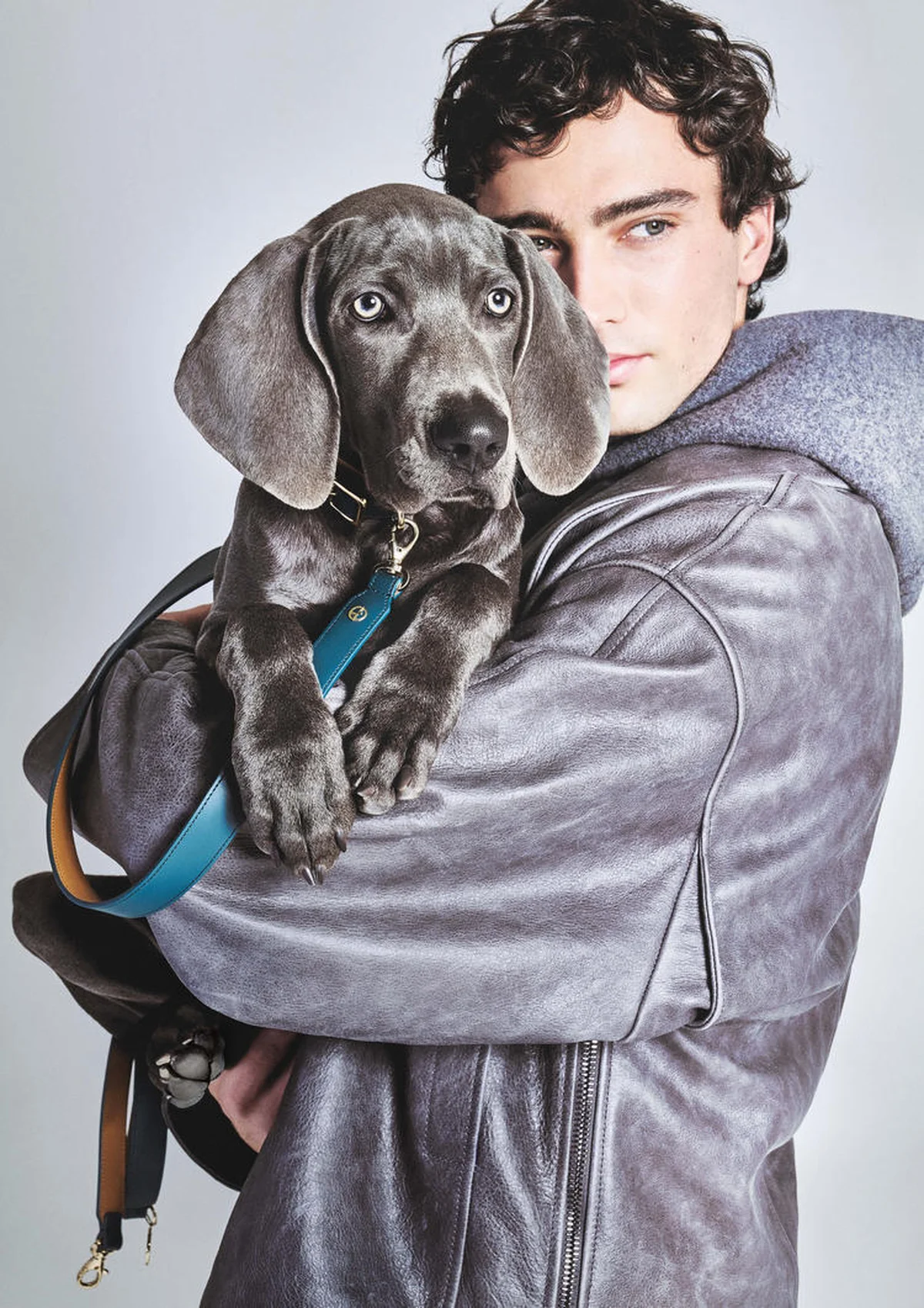 【ジョルジオ アルマーニ】と【ポルド ドの画像_3