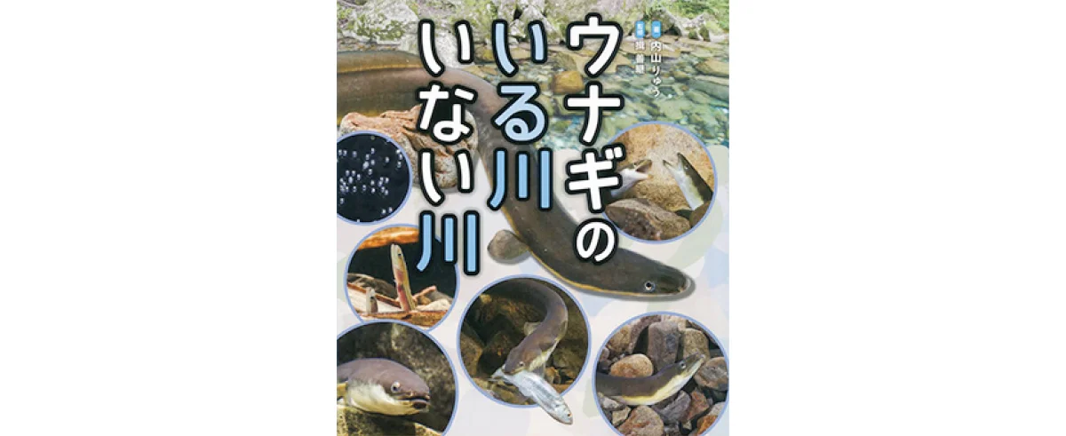 『ウナギのいる川 いない川』
