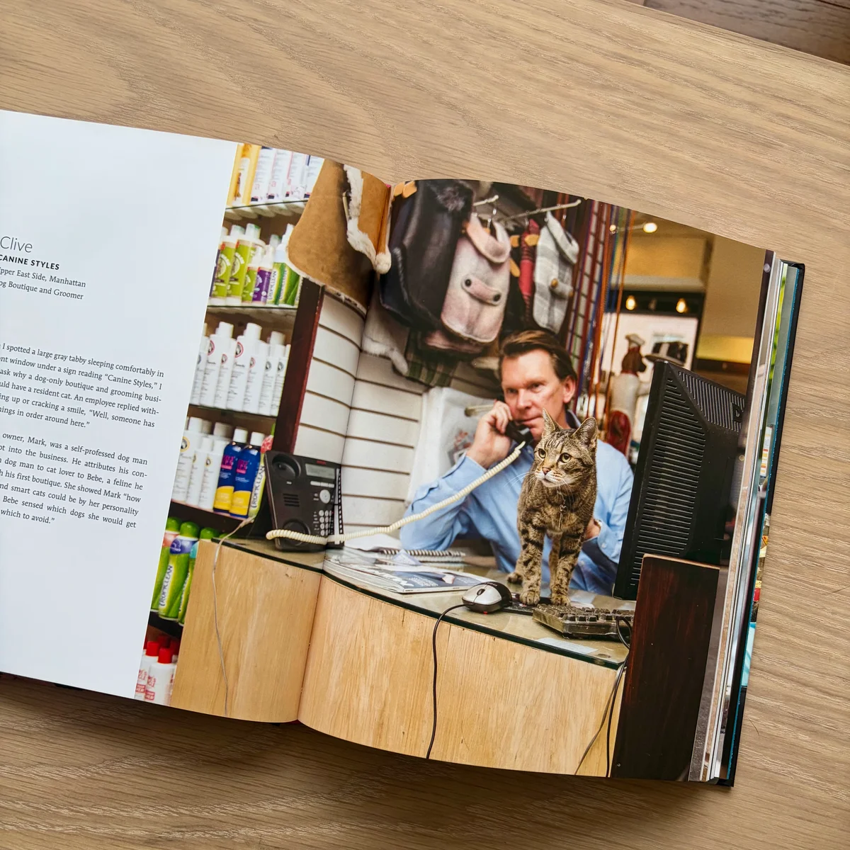 『SHOP CATS IN NEW YORK』のページの画像