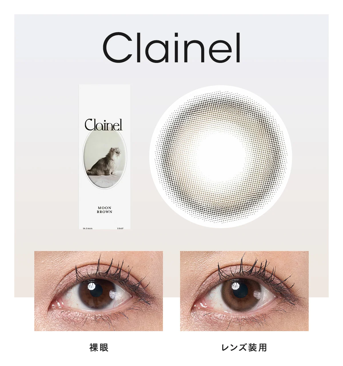 Clainel ムーンブラウンの切り抜き＆着用写真