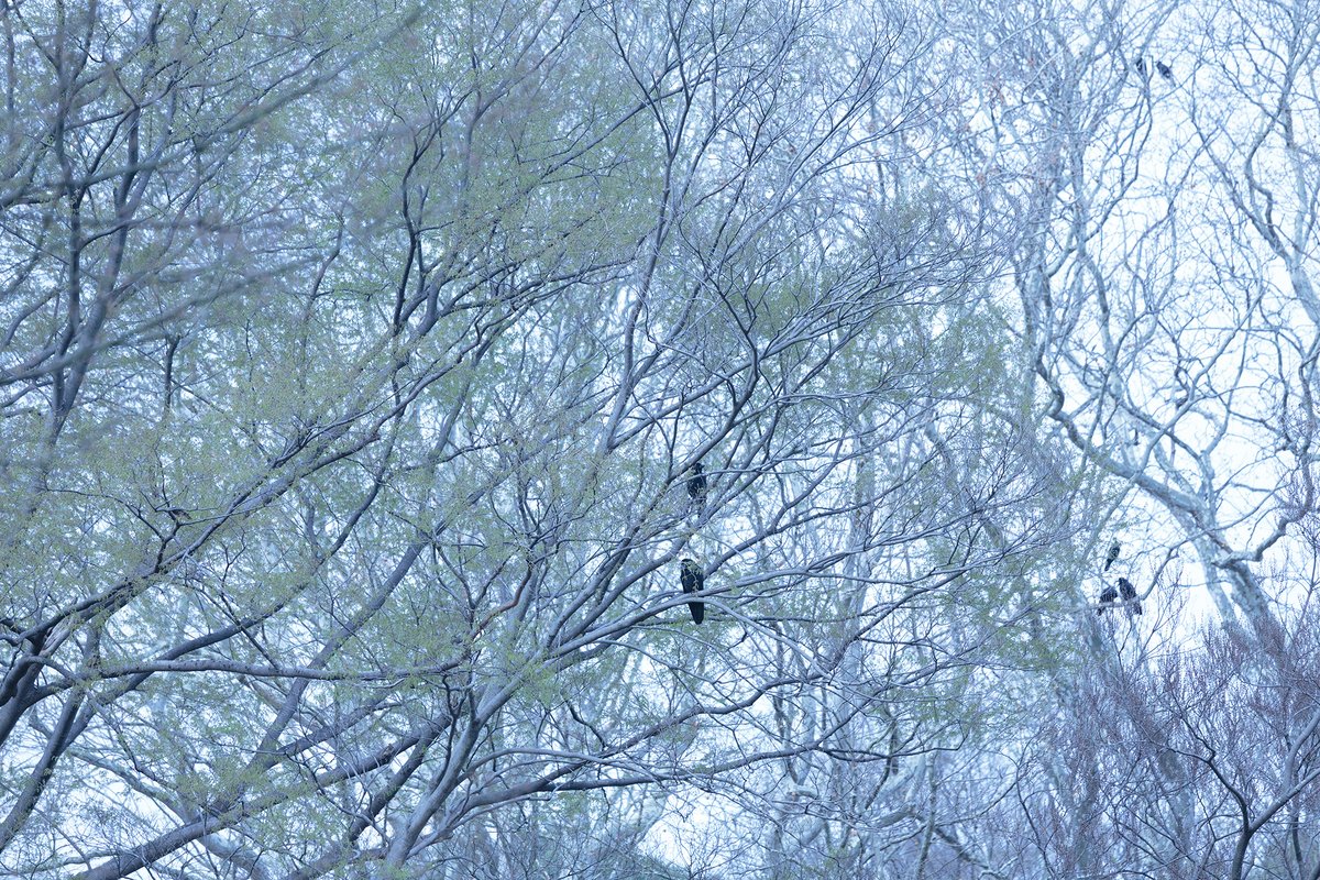宇壽山貴久子、京都で3年ぶりの写真展「Nの画像_2