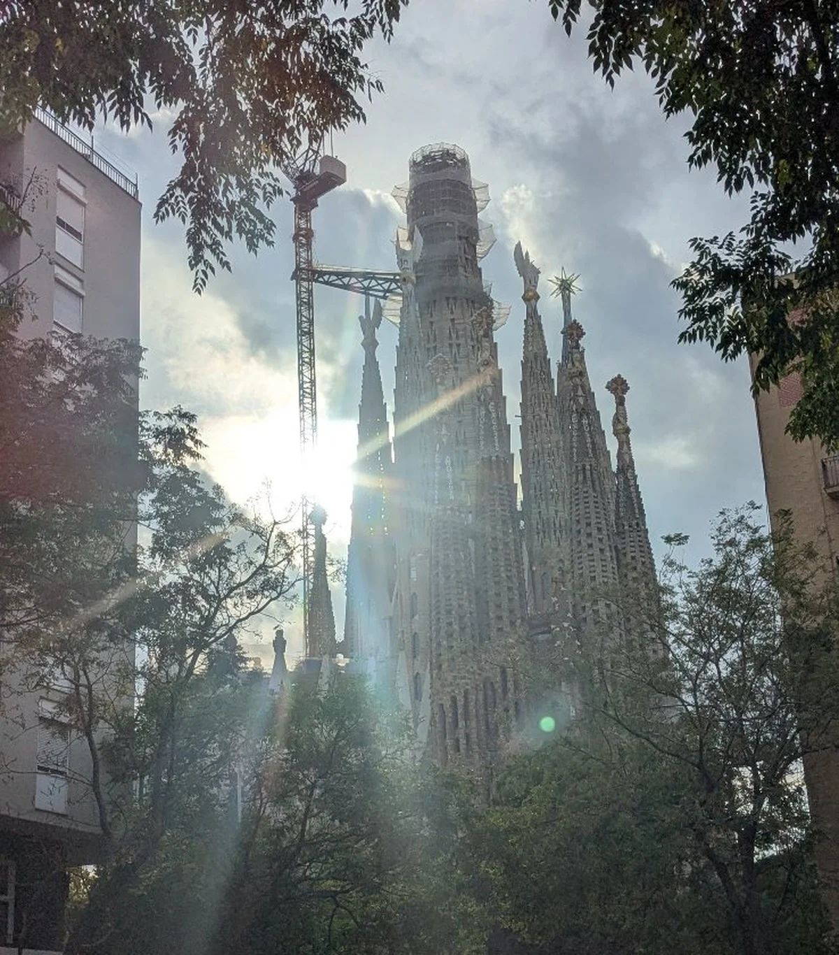 サグラダ・ファミリア　ガウディ　辛酸なめ子　バロセロナ