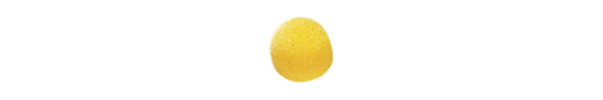 PAPABUBBLE　バブレッツ