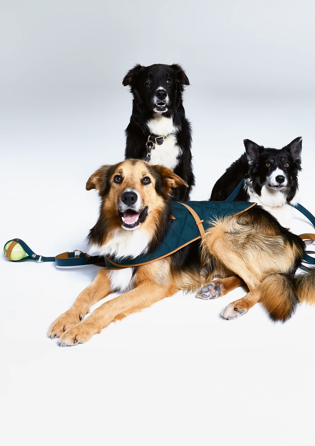 【ジョルジオ アルマーニ】と【ポルド ドの画像_4