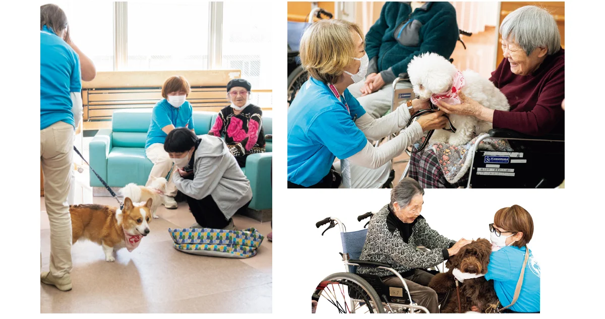 セラピー犬の活動
