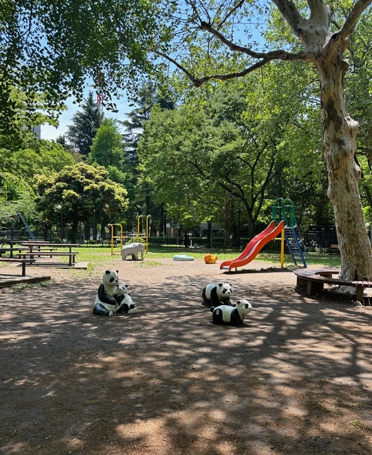 パンダもアートに見えてくる！？ 童心に戻って遊びたくなります。