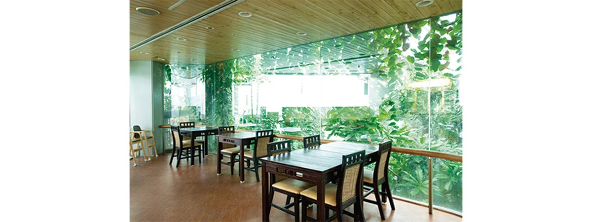 熱帯環境植物館@板橋／Tropical の画像_6