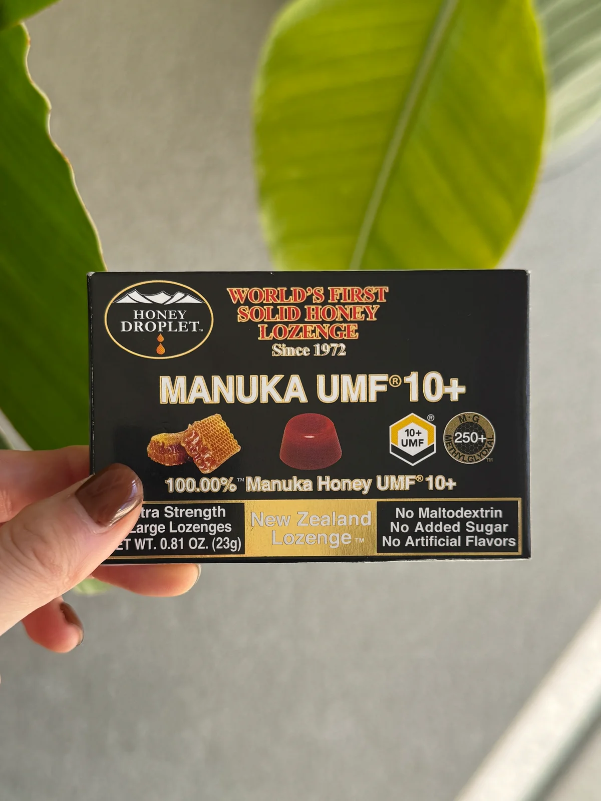 ハニードロップレットマヌカハニーUMF®10+箱の写真