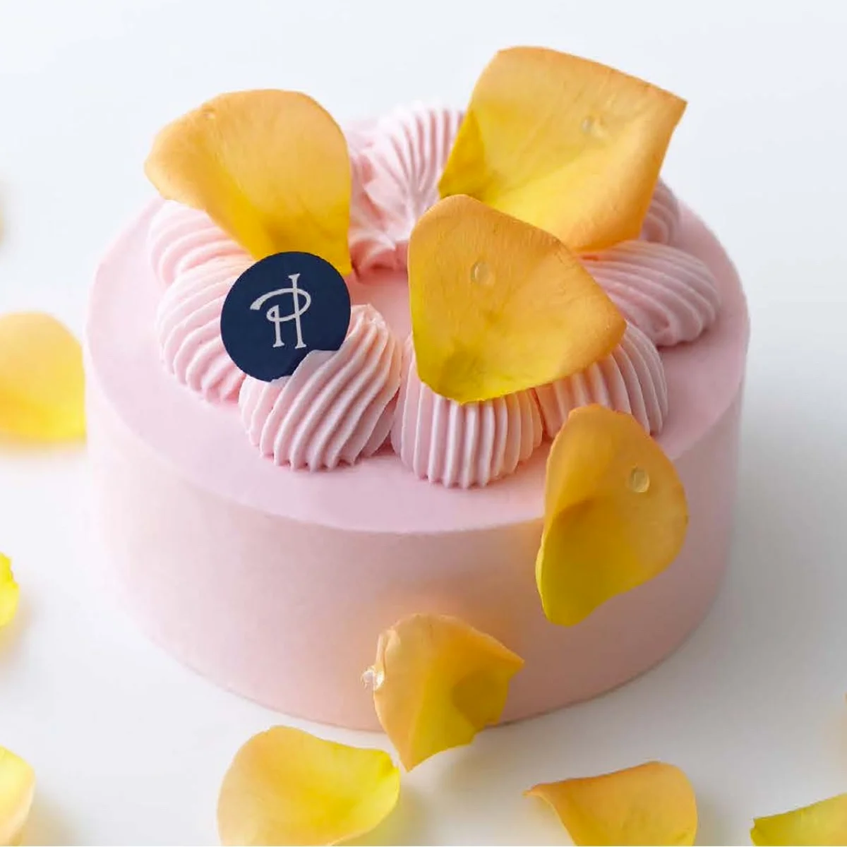 2025年のテーマは深海! 【ピエール・の画像_5