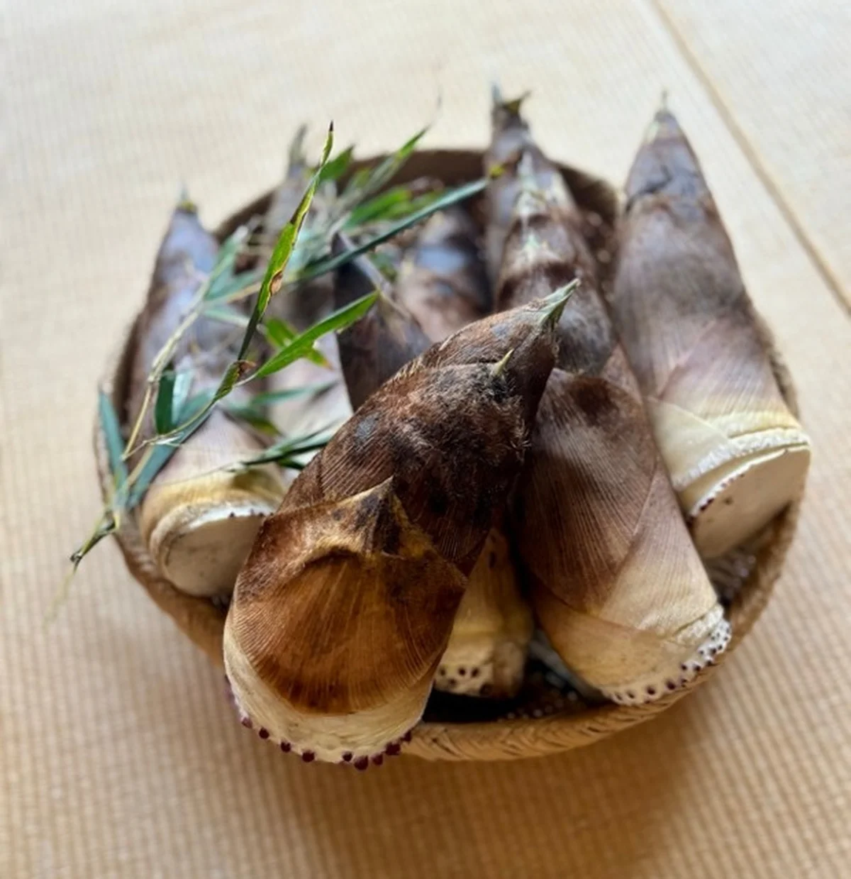 ザ・ノース・フェイス「エクスペディションドライドットブラ」ブラジャーのフロントホックのアップ