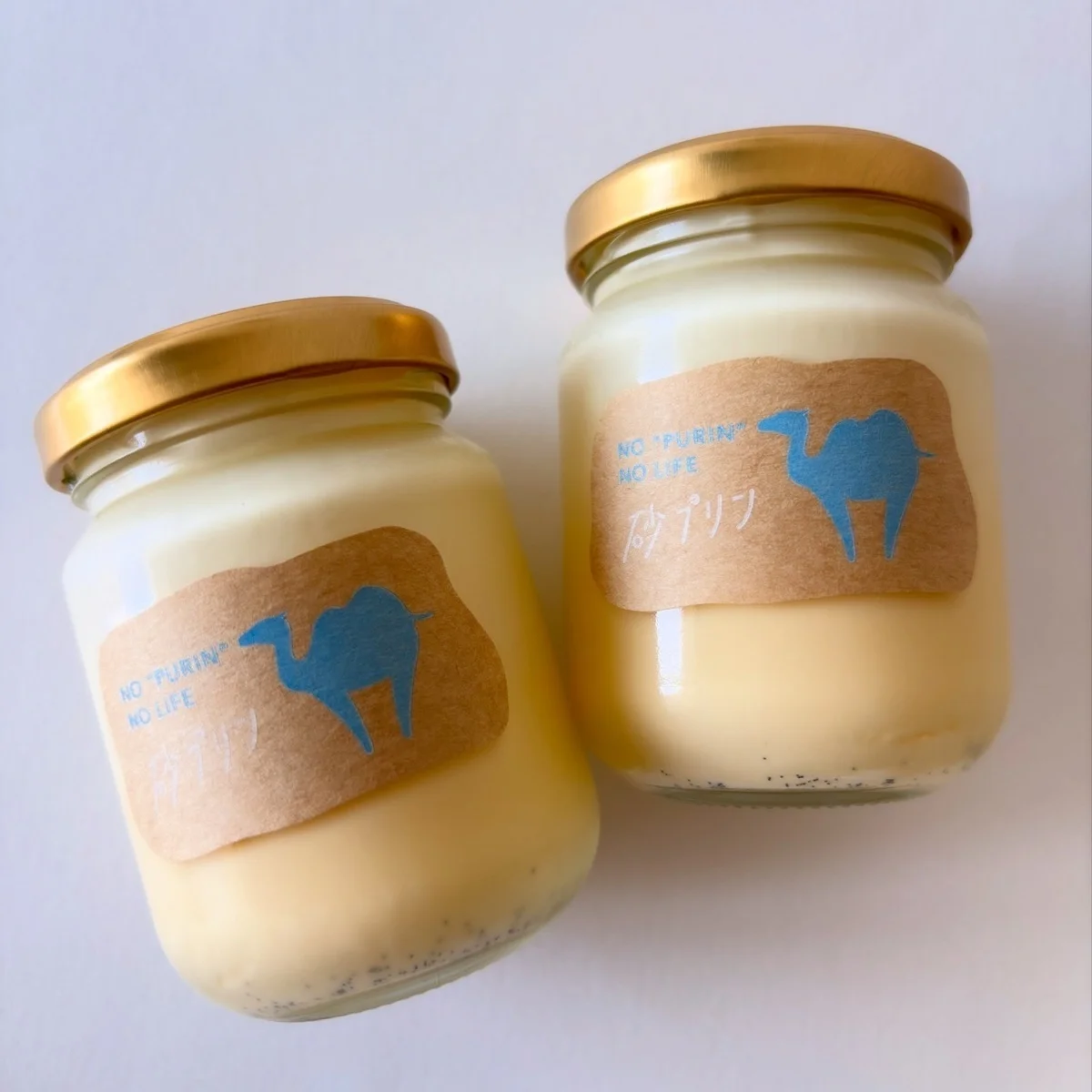 鳥取砂丘の砂プリン