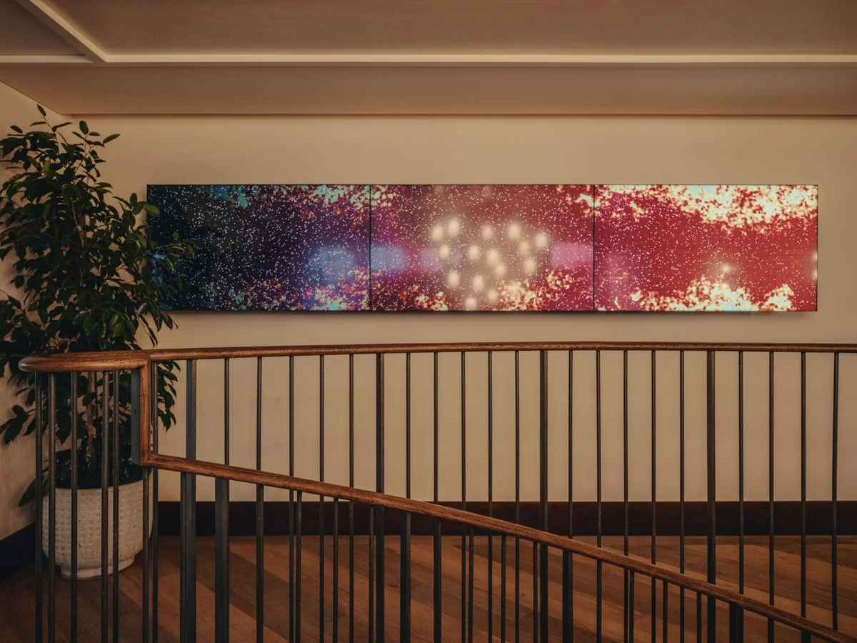 クリエイティブな人々のためのメンバーシッの画像_8