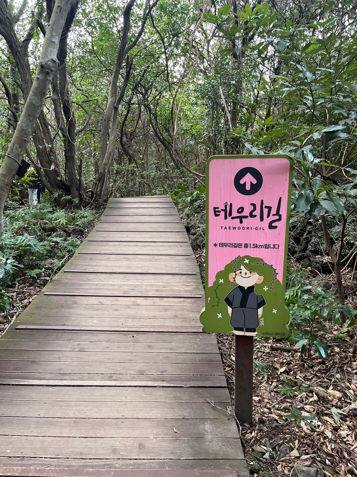 済州島 ビルケンシュトック リトリートツアー コッチャワル道立公園 入り口