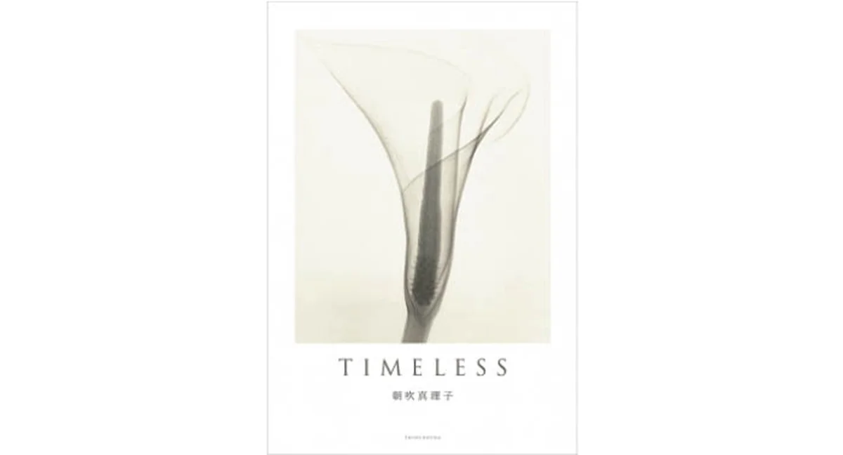 『TIMELESS』 朝吹真理子著