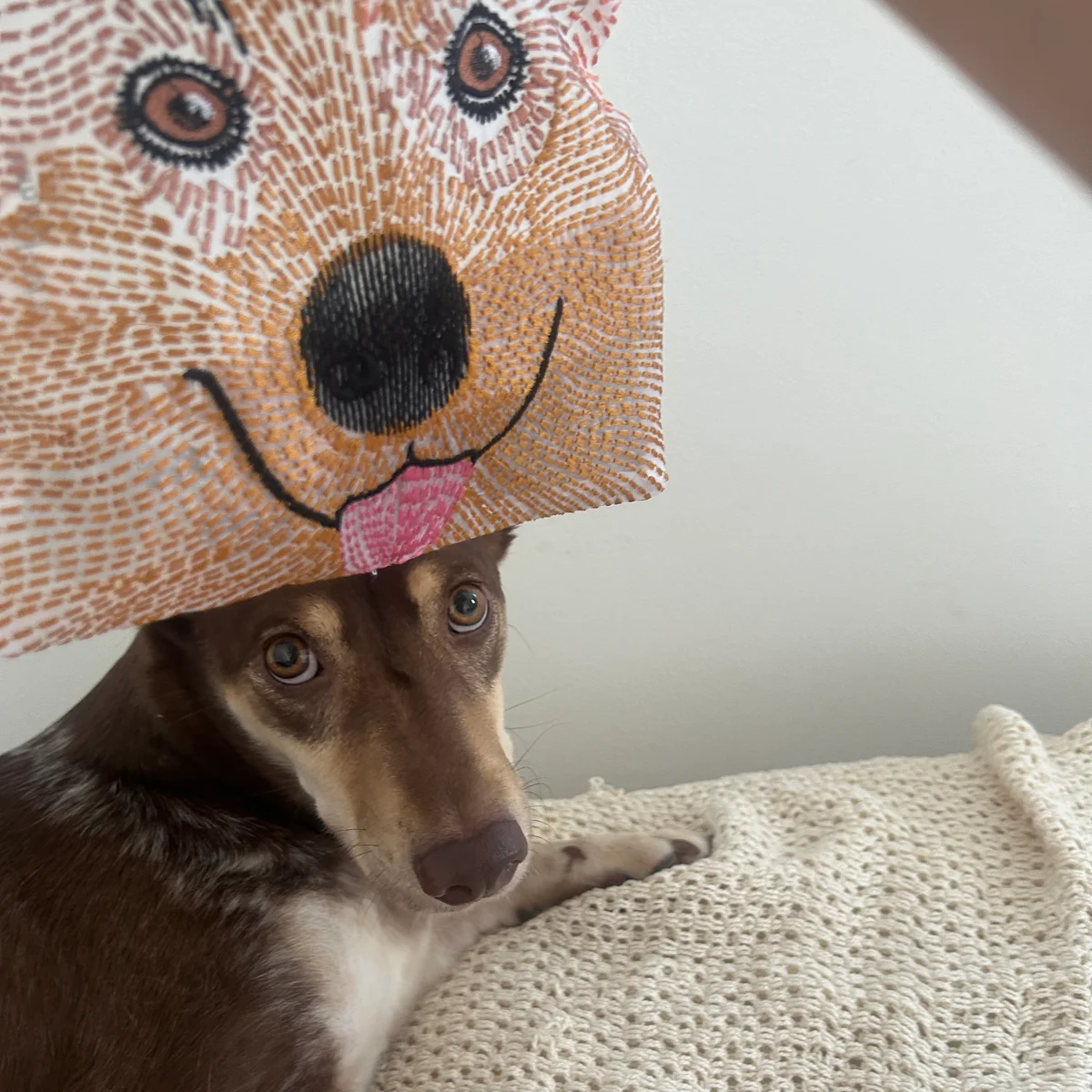 ブリジットタナカのオーガンジー素材のポーチと犬