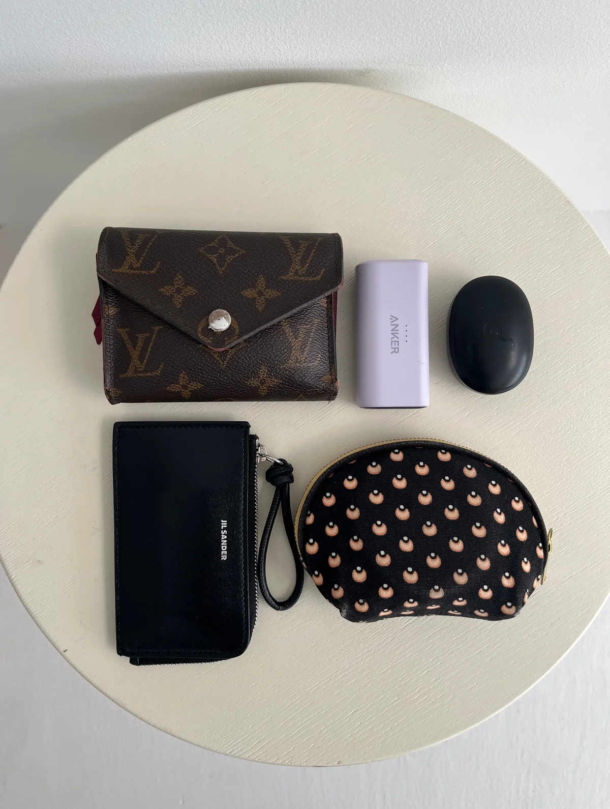 LOEWE(ロエベ)のペブル ポーチに入れている物の写真